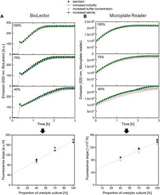 Developing a fluorometric urease activity microplate assay suitable for automated microbioreactor experiments